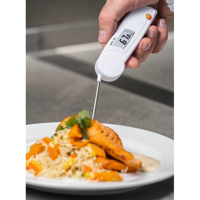 Testo 103 Penetration Thermometer - anaum.ca