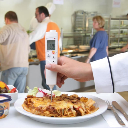 Testo 106 : Food Thermometer - anaum.ca